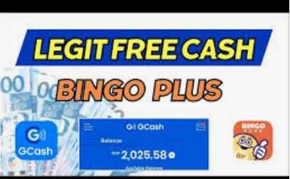 bingo plus rewards